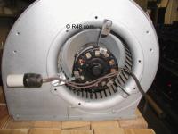 Squirrel cage fan